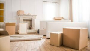 Packers and Movers BHEL