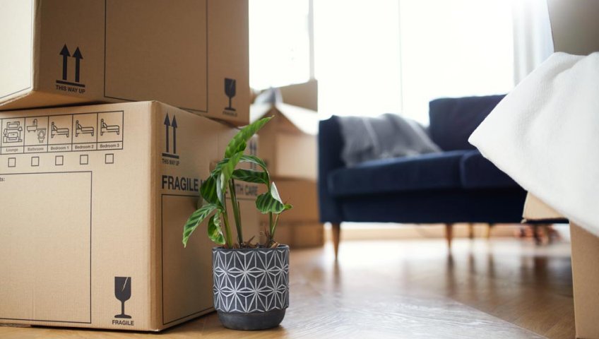 Packers and Movers Champapet