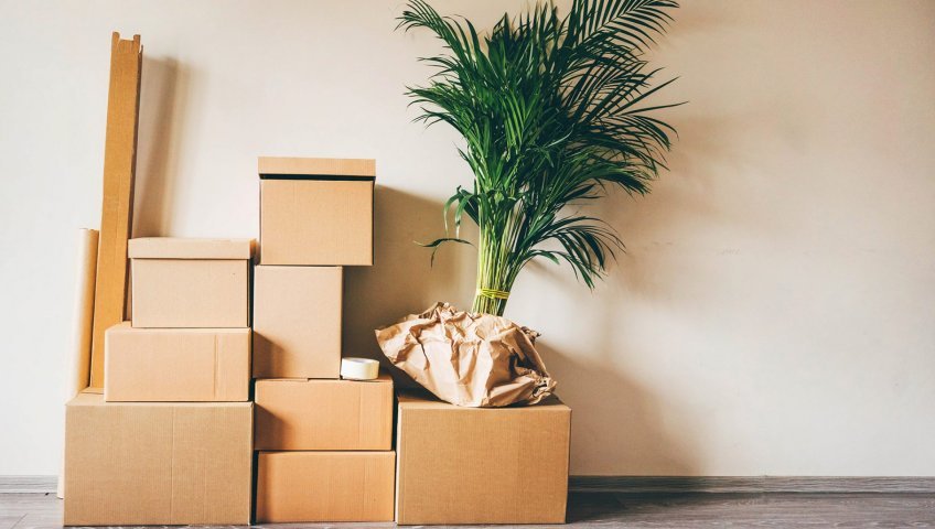 Packers and Movers Mehdipatnam