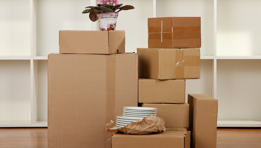 Packers and Movers Nanakramguda