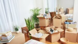 Packers and Movers Domalguda Hyderabad