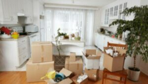 Packers and Movers Agapura