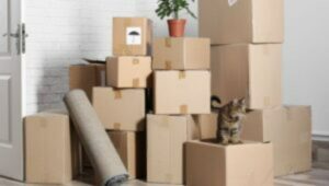Packers and Movers L.B. Nagar Hyderabad