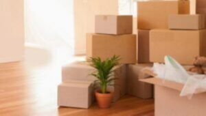 Packers and Movers Nallagandla